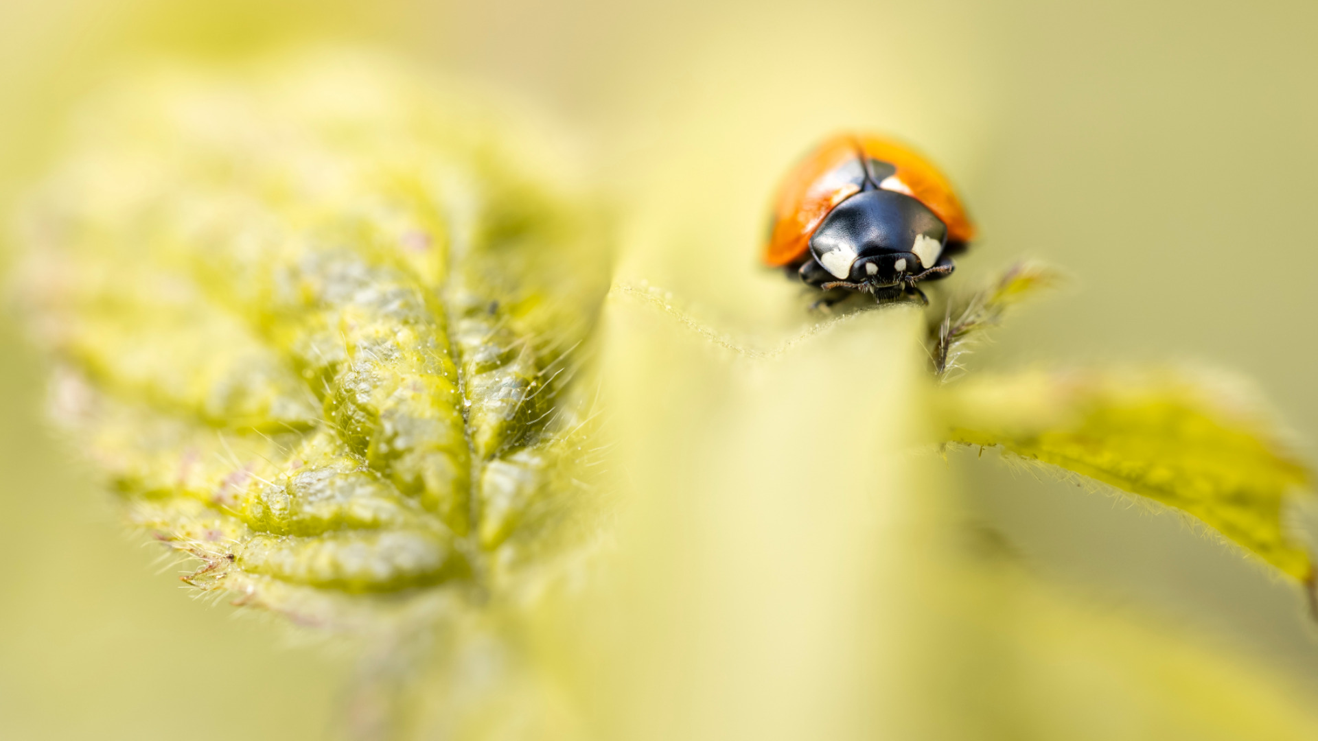 Contacter ISO 200, cours de photographie dans le Nord