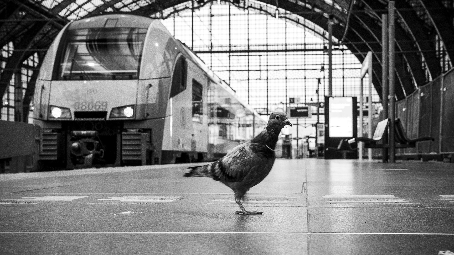 La photographie urbaine
