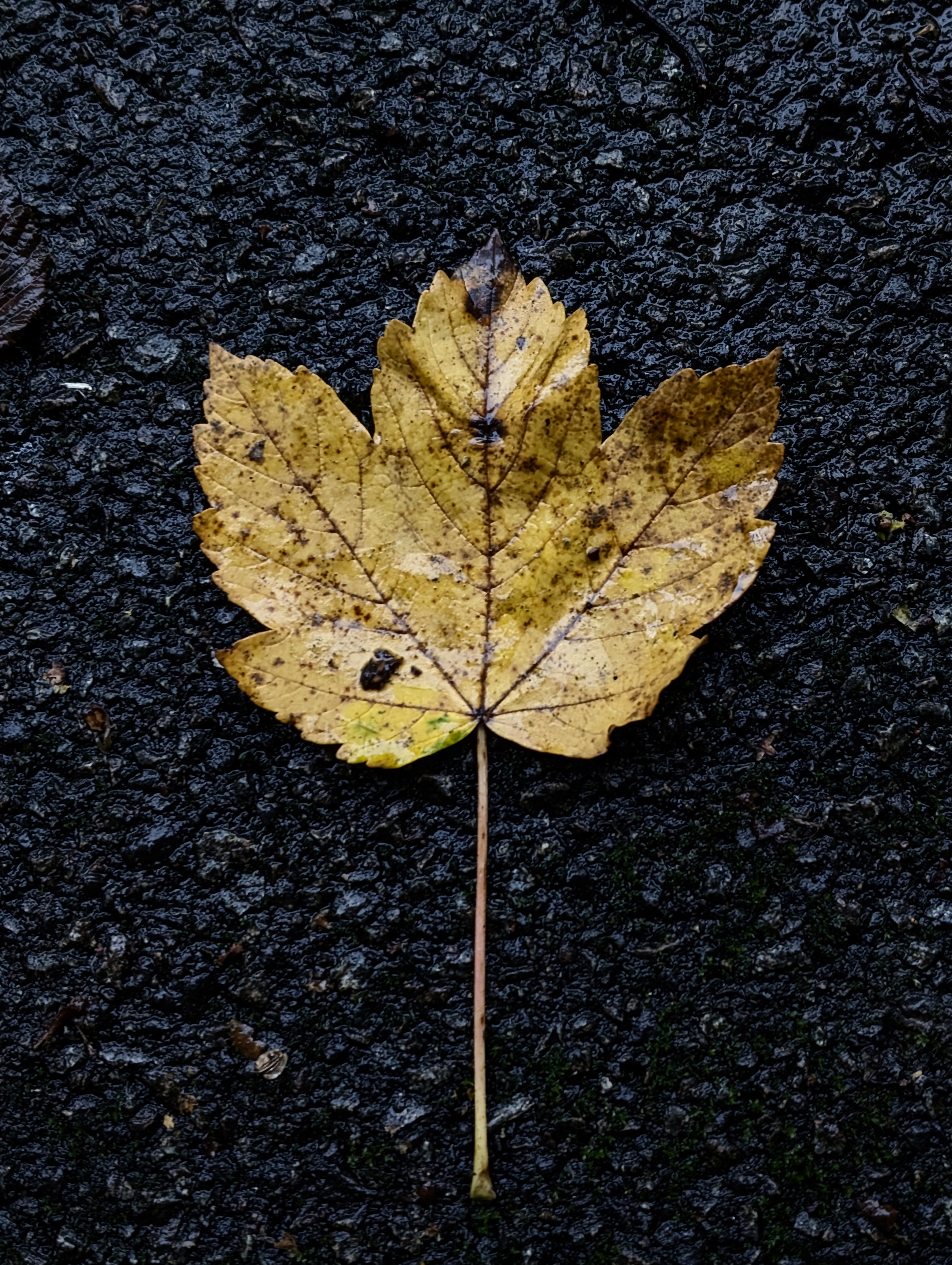La photo au smartphone — photo 6