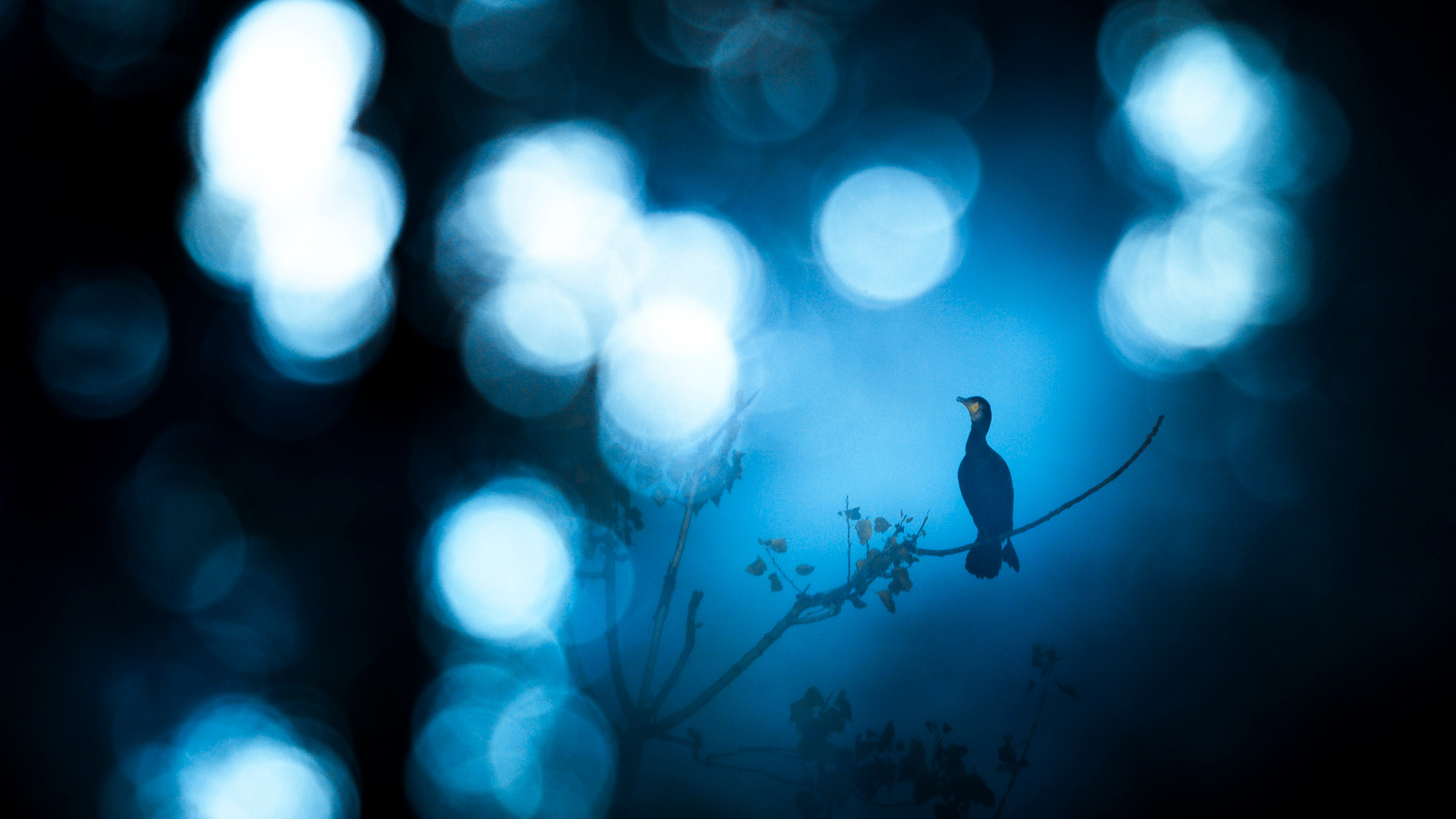 Contacter ISO 200, cours de photographie dans le Nord