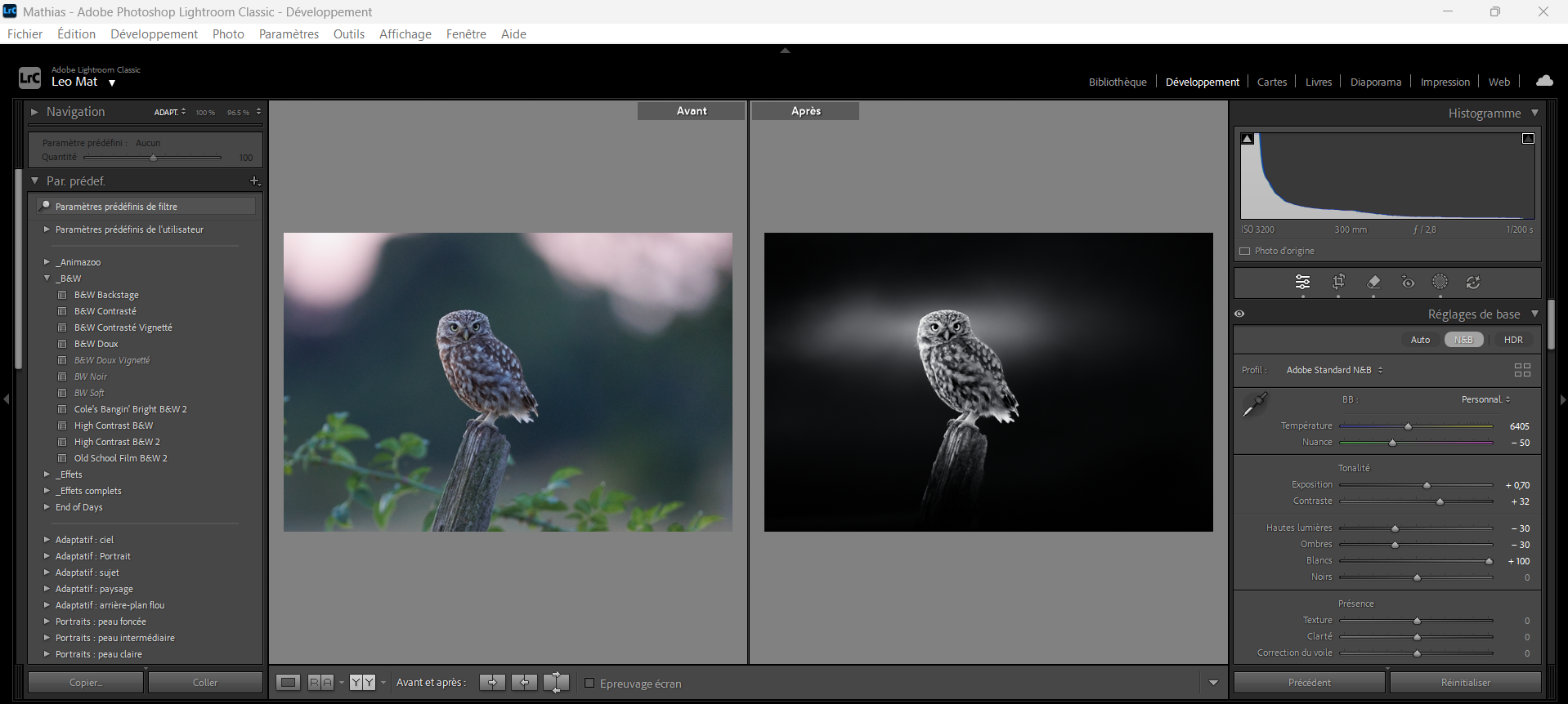 Maitriser Lightroom — photo 1