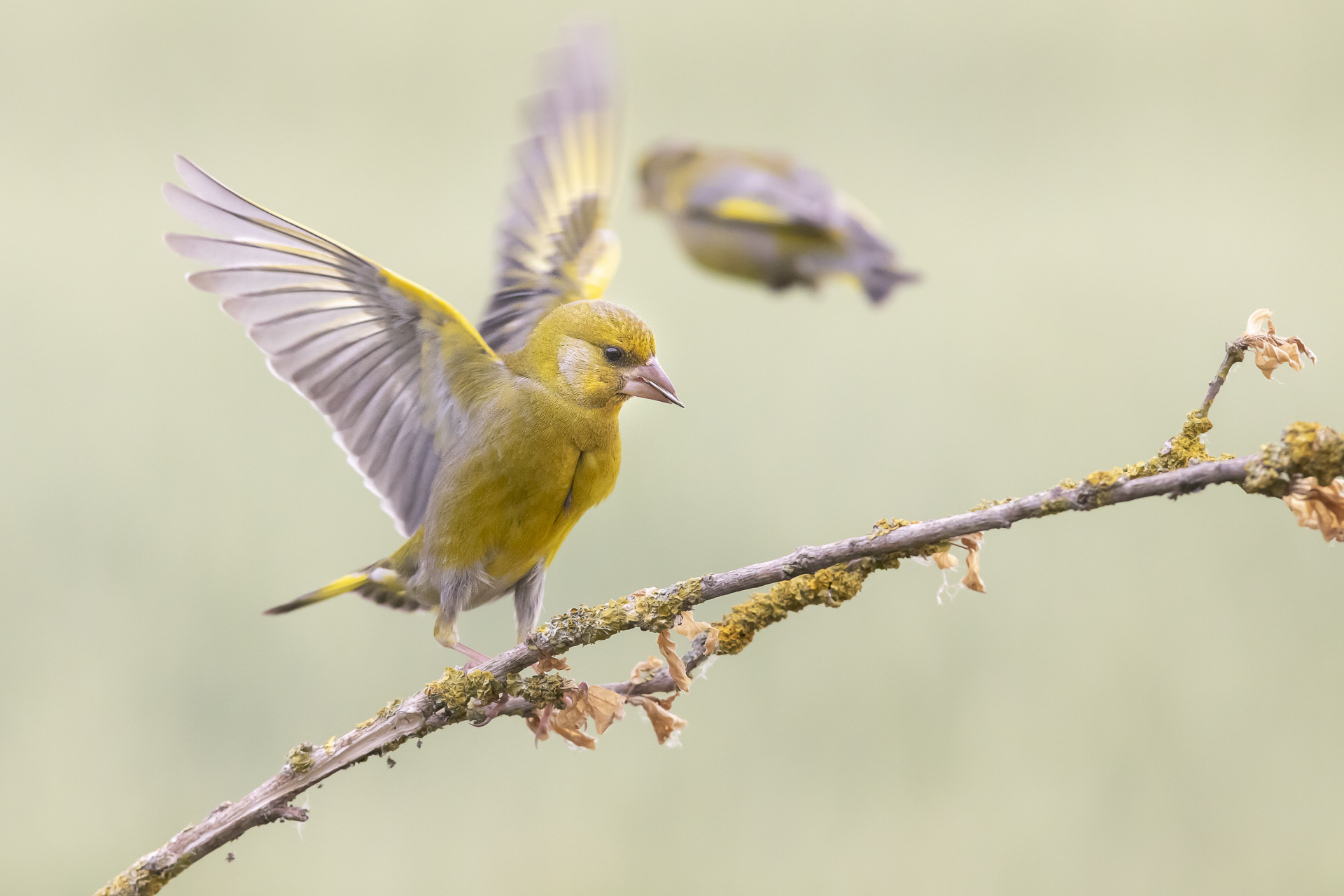 Cours 3 - Vitesse, temps de pose, mouvement — photo 3