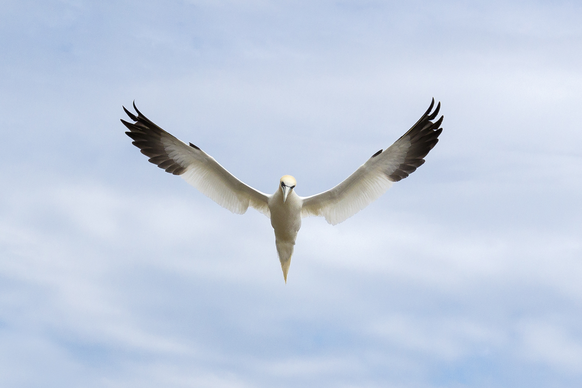 Cours 3 - Vitesse, temps de pose, mouvement — photo 4