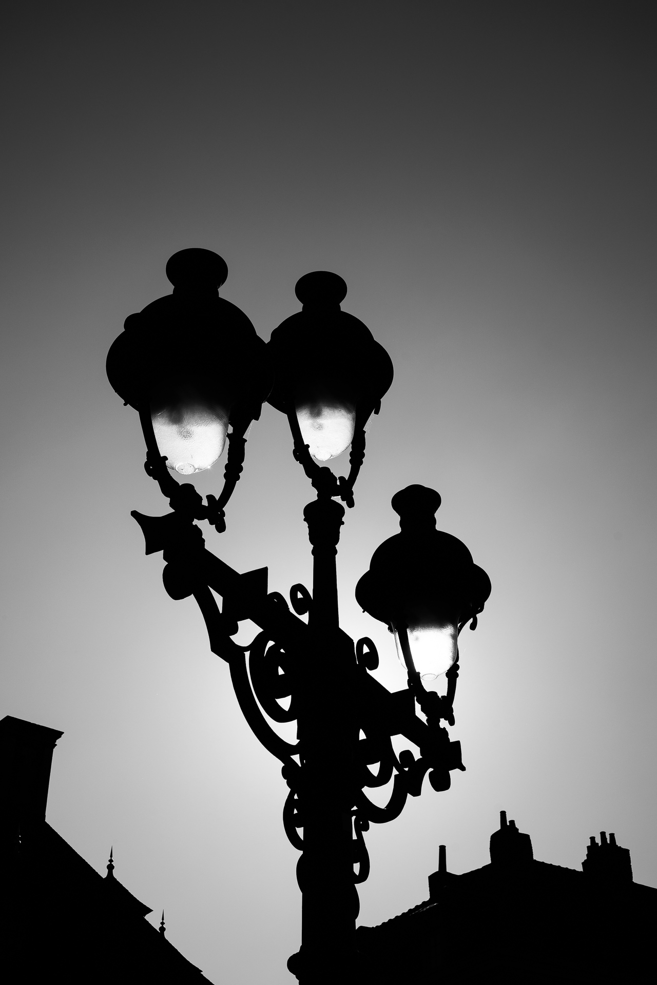 Le noir et blanc — photo 2