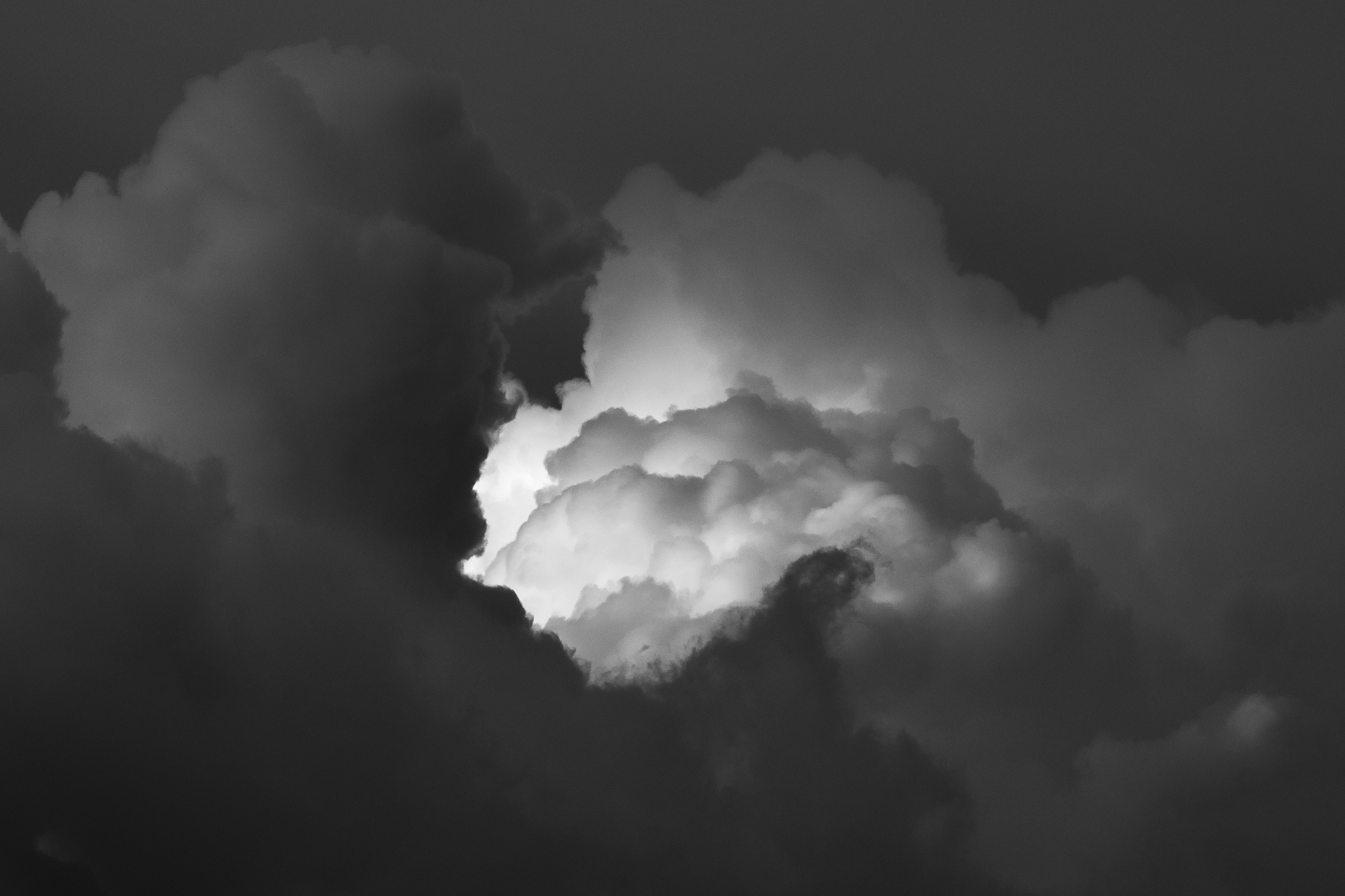 Le noir et blanc — photo 3