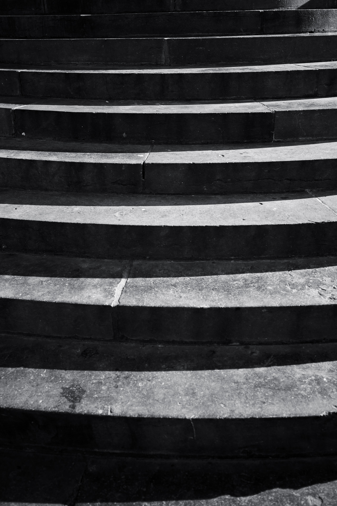 Le noir et blanc — photo 7