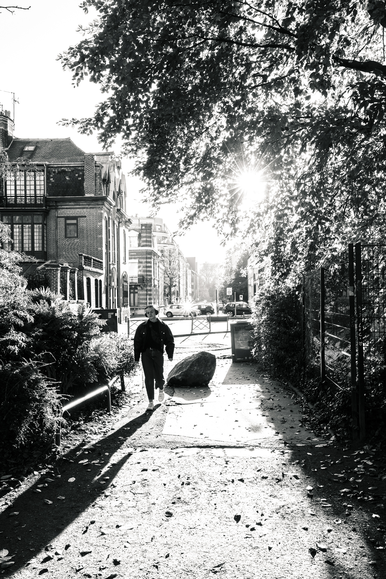 Le noir et blanc — photo 10