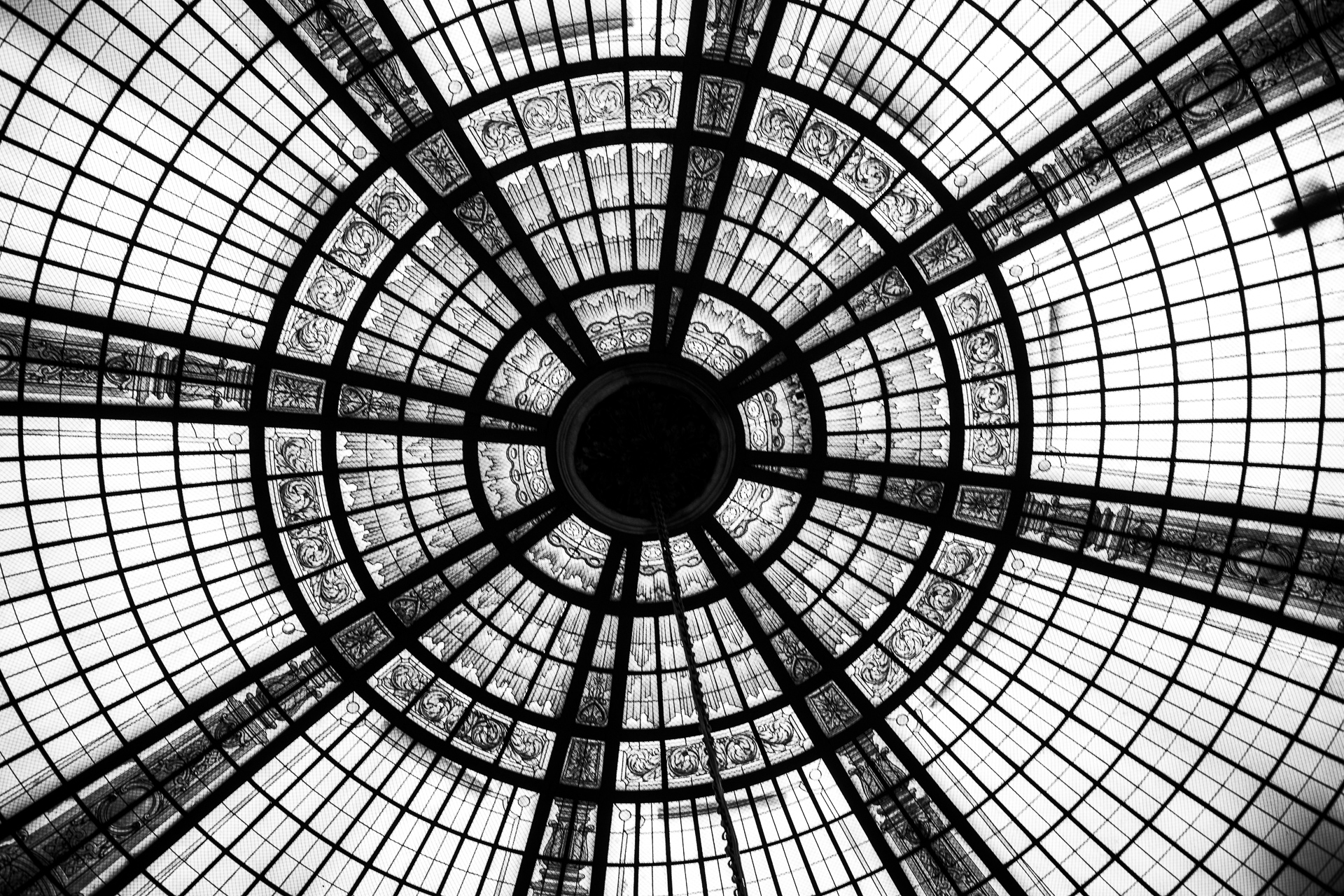 Le noir et blanc — photo 11