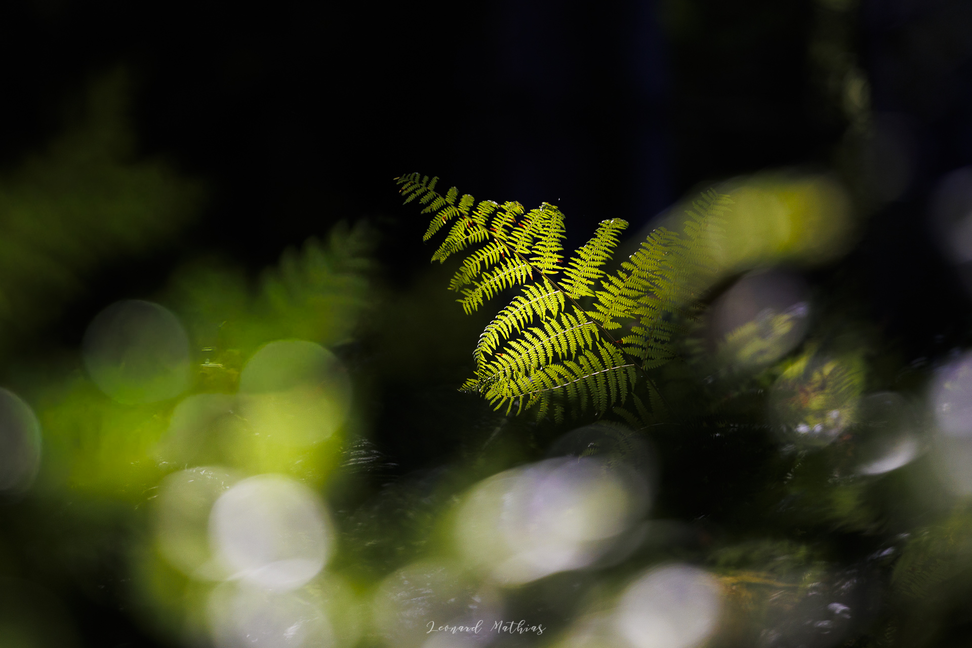 Cours 1 - Les bases pour bien débuter — photo 8