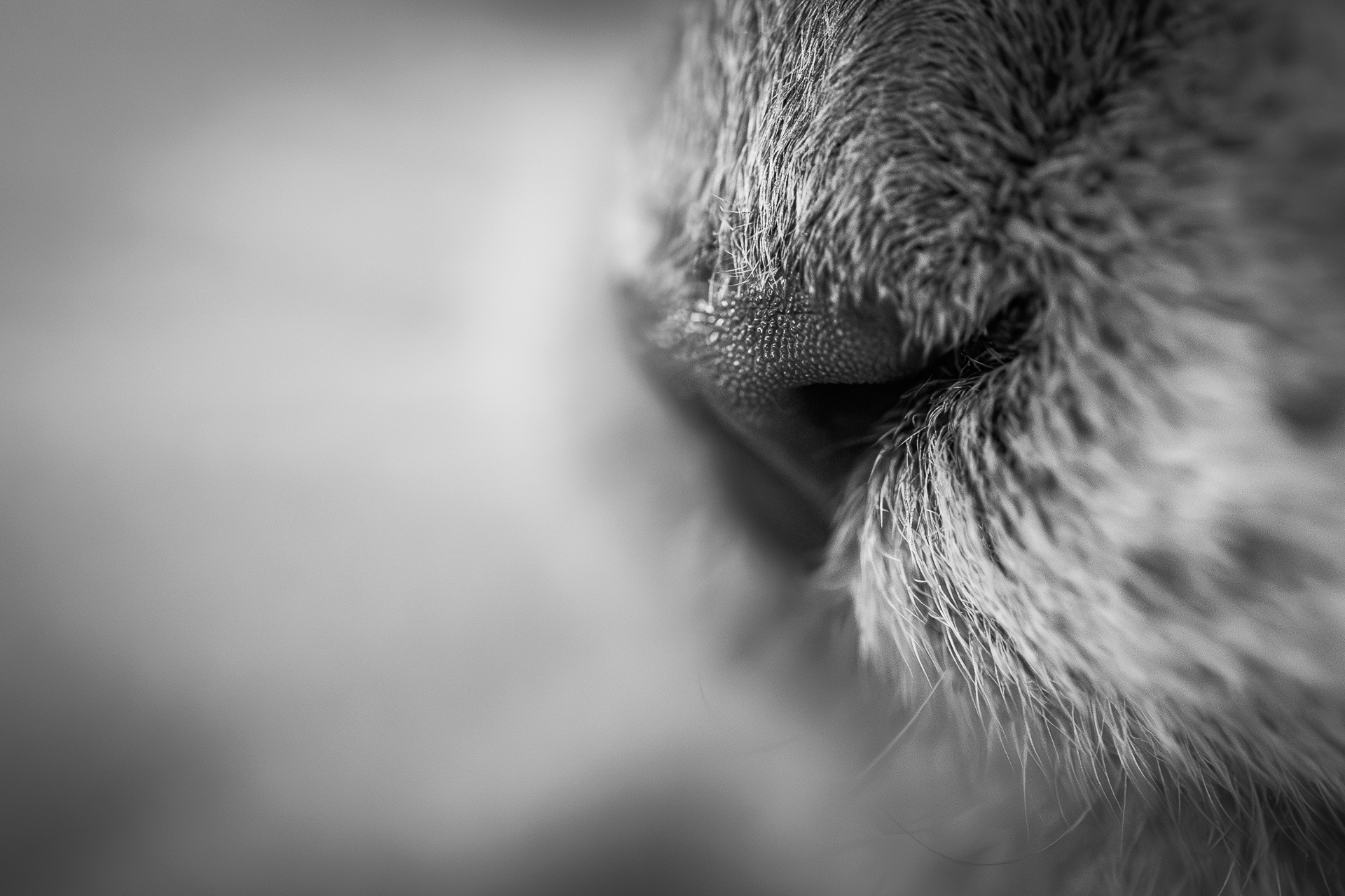 La macrophotographie — photo 12
